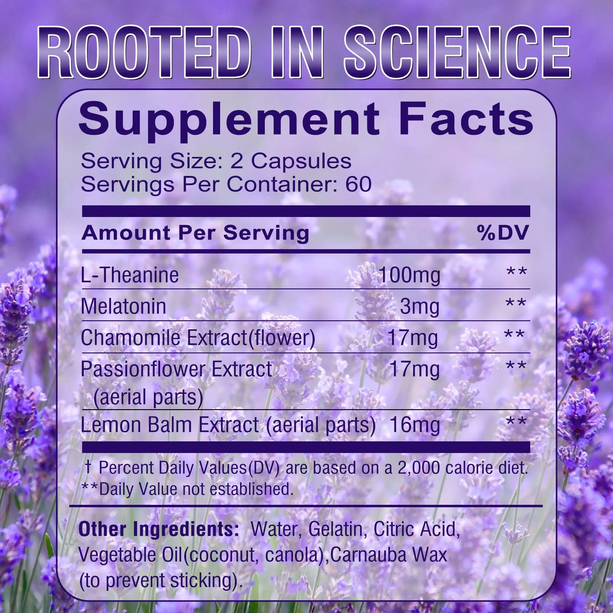 Nighttime Sleep Support Capsules