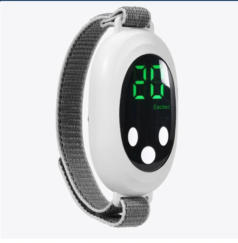 Dual-Mode Adjustable Pulse Relaxation Device